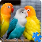 birds jigsaw puzzle + lwp android application logo